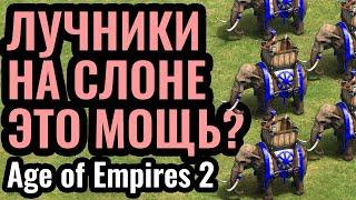 Мастер класс от DauT и ЛУЧНИКИ на СЛОНЕ?! Тяжёлый ТАНК нового ПАТЧА в Age of Empires 2