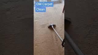 Revive Your Carpet Instantly!  #CarpetTransformation