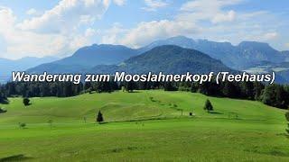 Wanderweg zum Aussichtspunkt Mooslahnerkopf Teehaus (Teahouse)