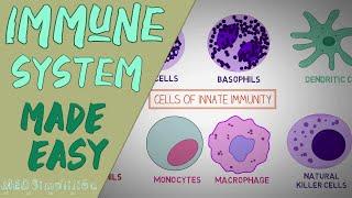 IMMUNE SYSTEM MADE EASY- IMMUNOLOGY INNATE AND ADAPTIVE IMMUNITY SIMPLE ANIMATION