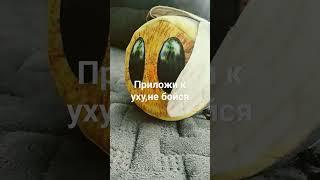 приложи к уху@bloptop @Bloptv-234 @BravlStarForever