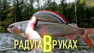 РАДУГА В РУКАХ (Часть 1). Rainbow in the hands (Part 1).