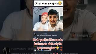 sherxondi bular tich qoyishmaydi sardor gangstr #uzbtiktok #tiktok #tiktokuzb #tiktokvideo #sardor