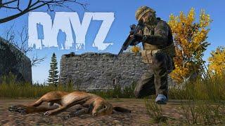 DayZ - DISCOVERY of the NEW update 1.26 in EXPERIMENTAL SERVER