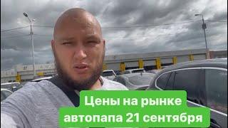 Цены на рынке автопапа ️21 сентября️