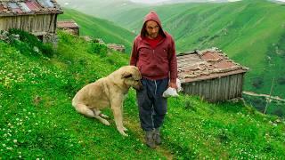 The Highlander in the Abandoned Mountains | Documentary Film