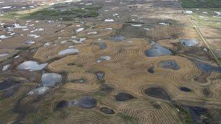 Mitigating Potential Impacts of Neonicotinoid Insecticides on Wetland Ecosystems