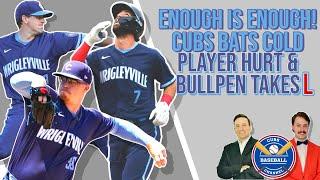 Chicago Cubs Baseball News | Fish or Cut Bait on the season??