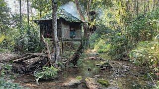 camping alone in the wild building a safe tree shelter