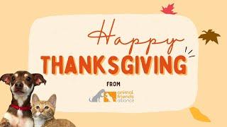 Happy Thanksgiving From Animal Friends Alliance