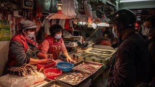 WHO investigate Wuhan seafood market