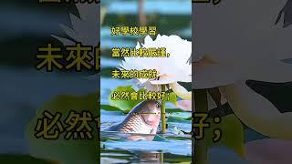 同是天涯淪落人？ 拾穗之悅～2024年11月3日