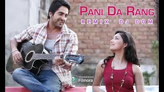 Pani Da Rang Dance Remix | DJ DOM | Ayushmann Khurrana | Yaami Gautam |