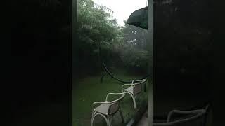 Heavy Rain in Monsoon. #rain #nature #naturesounds #rainsounds