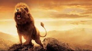 MOTIVATIONAL VIDEO 2016  ( BY THOMAS CALVER )
