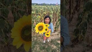 I love sunflower | Pinmook shorts