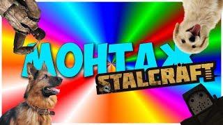 STALCRAFT МОНТАЖ - Собаки