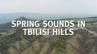 Tbilisi Hills Spring Real Estate Update