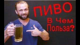 Как Пить ПИВО Без Вреда Для Здоровья / Пиво При Похудении