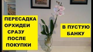 ПЕРЕСАДКА ОРХИДЕИ СРАЗУ ПОСЛЕ ПОКУПКИ.. В ПУСТУЮ БАНКУ..HOW TO REPOT AN ORCHID