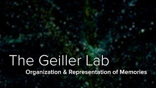 The Hippocampus, Cortical Circuits & Memories - The Geiller Lab at Yale School of Medicine