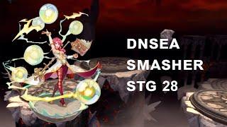 DNSEA Smasher STG28