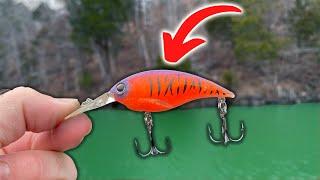 You DON'T Want to MISS this Lure for Winter Bass Fishing