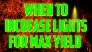 When To Increase Light For Max Yield, for Beginners