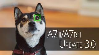 Sony A7iii/A7riii Firmware Update 3.0 - How to Install and Use