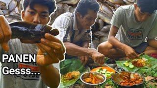 KETEMU SARANGNYA‼️ CARI IKAN LANGSUNG DIMASAK DITEMPAT #cariikan #masakdihutan #makan  #sambalpedas