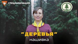 ДЕРЕВЬЯ | Следопытские специализации