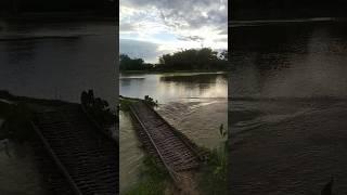Pani Pani #india #northeast #flood #village #villagelife #rain #jorhat #reels #viral #short