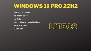 Windows 11 Pro - LiteOS 22H2