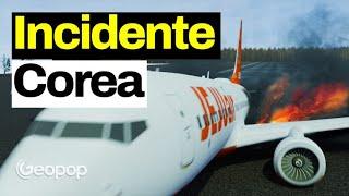 Incidente aereo in Corea del Sud con animazioni 3D inedite - ipotesi, cause e domande