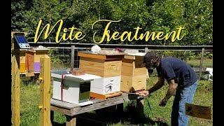 Beekeeping ~ Oxalic Acid Mite Treatment ~ Homestead Corner