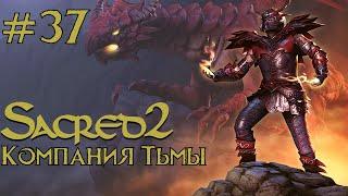 Прохождение Sacred 2 Gold (Кампания Тьмы) Серия 37 "Любовницы и травницы"