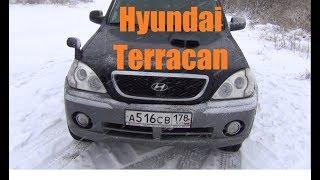 Hyundai Terracan Корейское насекомое