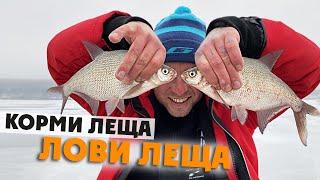 Ловля Леща Зимой на Водохранилище! Где найти и как ловить Леща на зимнюю снасть? Рыбалка со льда