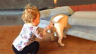 Cute Baby Playing with Dog / Baies Loves Animals - Life for Fun