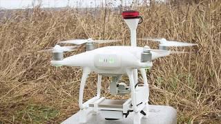 Мультиспектральная съемка с дрона DJI Phantom 4 для сельского хозяйства с Parrot SEQUOIA