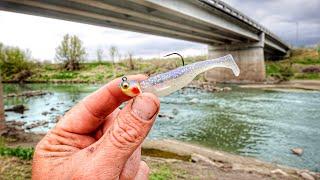 It Took 5 YEARS Fishing Here To CATCH ONE!!! (Hardest Fighting Freshwater Fish)