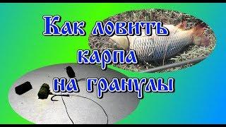 Как ловить карпа на гранулы