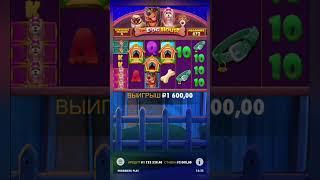 ПОЛЯНА БУДОК И ЗАНОС В СОБАКАХ  dog house megaways #заносынедели #казино #casino