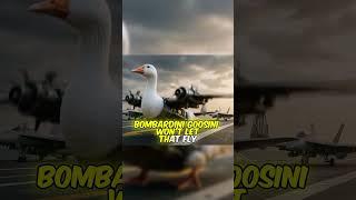 bombardino crocodilo vs bombardini goosini