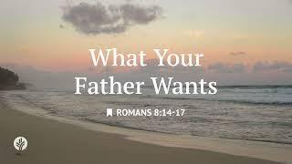 What Your Father Wants | Audio Reading | Our Daily Bread Devotional | June 14, 2025