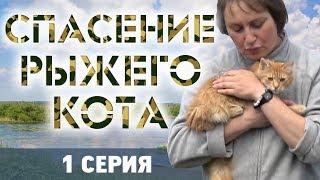 СПАСЕНИЕ РЫЖЕГО КОТА - 1 серия  КОТОЖИЗНЬ! 16 и 18 июня 2019