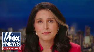 Tulsi Gabbard: Where are Biden and Harris?