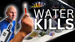 Water Can KILL Your Fish, DO THIS