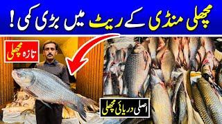 Big drop in the rates of fish market in Pakistan | Fish wholesale market Lahore | Fish market rates