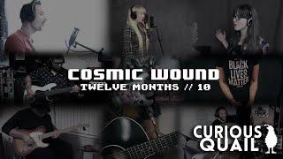 Curious Quail - Cosmic Wound